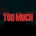 The Kid LAROI - TOO MUCH