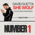 David Guetta Feat Sia - She Wolf (Launchmachine Remix)