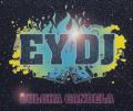 Chayanne - EY DJ (Album Version)