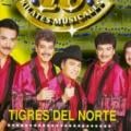 TIGRES DEL NORTE - La puerta negra