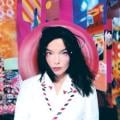 Björk - Possibly Maybe