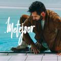 METEJOOR - Horizontaal