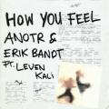ANOTR & Erik Bandt Ft. Leven Kali - How You Feel