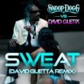 Snoop - Sweat - Snoop Dogg vs David Guetta Remix
